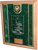 vietnam awards case